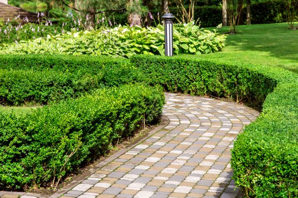 Cost of Paved Landscaping in Longmont