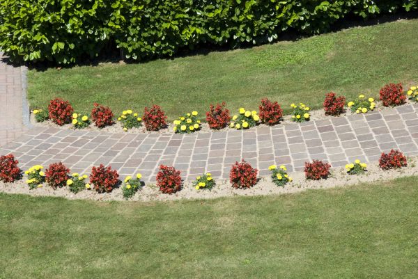 Garden Paving in Longmont