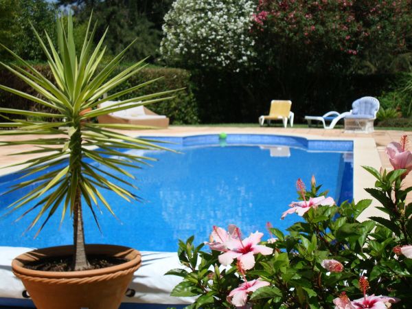 Cost of Pool Terrace Renovation in Longmont