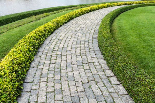 Cost of Sidewalk Pavers Installation in Longmont