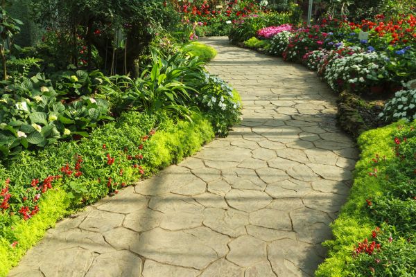 Cost of Stone Pathway Service in Longmont